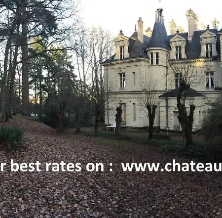 בית הארחה Chateau Bouvet Ladubay *